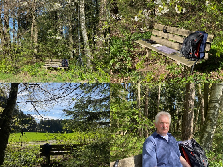 Pr�llinger-Wald.jpg (319 kBytes)